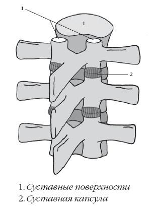 Диагностика и лечение позвоночника. Уникальная система доктора А. М. Уриа Диагностика и лечение позвоночника. Уникальная система доктора А. М. Уриа
