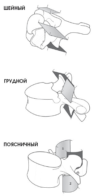 Диагностика и лечение позвоночника. Уникальная система доктора А. М. Уриа Диагностика и лечение позвоночника. Уникальная система доктора А. М. Уриа