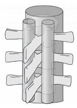 Диагностика и лечение позвоночника. Уникальная система доктора А. М. Уриа Диагностика и лечение позвоночника. Уникальная система доктора А. М. Уриа