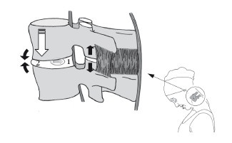 Диагностика и лечение позвоночника. Уникальная система доктора А. М. Уриа Диагностика и лечение позвоночника. Уникальная система доктора А. М. Уриа