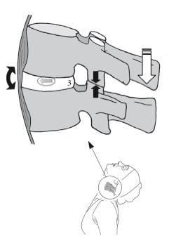 Диагностика и лечение позвоночника. Уникальная система доктора А. М. Уриа Диагностика и лечение позвоночника. Уникальная система доктора А. М. Уриа