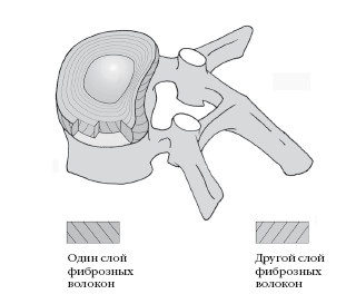 Диагностика и лечение позвоночника. Уникальная система доктора А. М. Уриа Диагностика и лечение позвоночника. Уникальная система доктора А. М. Уриа