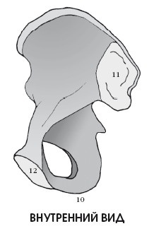 Диагностика и лечение позвоночника. Уникальная система доктора А. М. Уриа