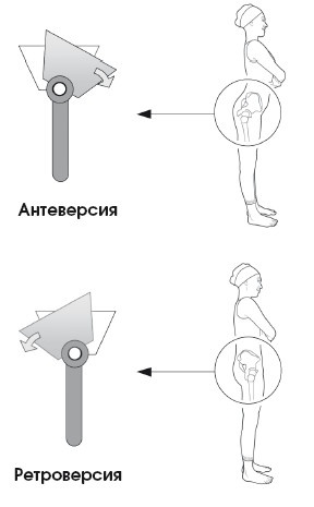 Диагностика и лечение позвоночника. Уникальная система доктора А. М. Уриа