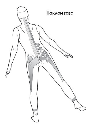 Диагностика и лечение позвоночника. Уникальная система доктора А. М. Уриа Диагностика и лечение позвоночника. Уникальная система доктора А. М. Уриа
