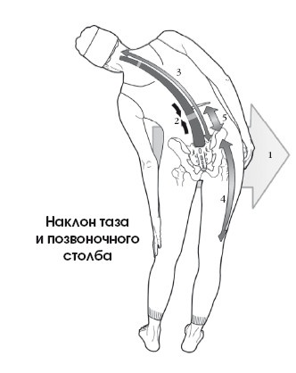 Диагностика и лечение позвоночника. Уникальная система доктора А. М. Уриа Диагностика и лечение позвоночника. Уникальная система доктора А. М. Уриа