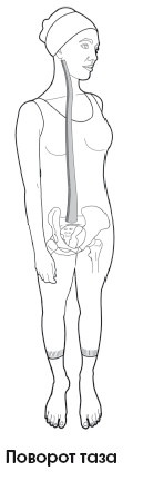 Диагностика и лечение позвоночника. Уникальная система доктора А. М. Уриа Диагностика и лечение позвоночника. Уникальная система доктора А. М. Уриа