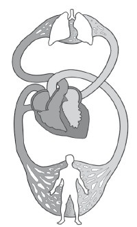 Диагностика и лечение позвоночника. Уникальная система доктора А. М. Уриа Диагностика и лечение позвоночника. Уникальная система доктора А. М. Уриа