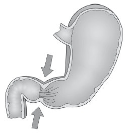 Диагностика и лечение позвоночника. Уникальная система доктора А. М. Уриа Диагностика и лечение позвоночника. Уникальная система доктора А. М. Уриа