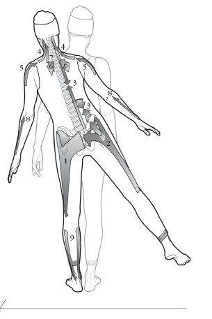 Диагностика и лечение позвоночника. Уникальная система доктора А. М. Уриа Диагностика и лечение позвоночника. Уникальная система доктора А. М. Уриа