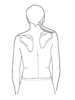 Диагностика и лечение позвоночника. Уникальная система доктора А. М. Уриа Диагностика и лечение позвоночника. Уникальная система доктора А. М. Уриа