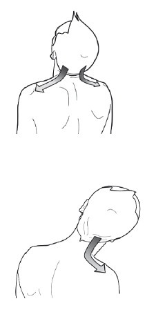 Диагностика и лечение позвоночника. Уникальная система доктора А. М. Уриа Диагностика и лечение позвоночника. Уникальная система доктора А. М. Уриа