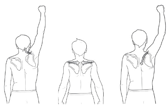 Диагностика и лечение позвоночника. Уникальная система доктора А. М. Уриа Диагностика и лечение позвоночника. Уникальная система доктора А. М. Уриа