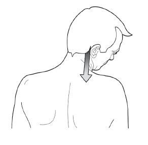 Диагностика и лечение позвоночника. Уникальная система доктора А. М. Уриа Диагностика и лечение позвоночника. Уникальная система доктора А. М. Уриа