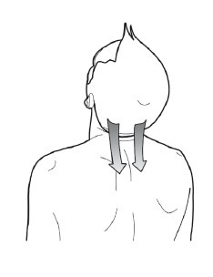 Диагностика и лечение позвоночника. Уникальная система доктора А. М. Уриа Диагностика и лечение позвоночника. Уникальная система доктора А. М. Уриа