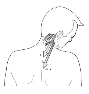 Диагностика и лечение позвоночника. Уникальная система доктора А. М. Уриа Диагностика и лечение позвоночника. Уникальная система доктора А. М. Уриа