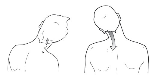Диагностика и лечение позвоночника. Уникальная система доктора А. М. Уриа Диагностика и лечение позвоночника. Уникальная система доктора А. М. Уриа