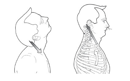 Диагностика и лечение позвоночника. Уникальная система доктора А. М. Уриа Диагностика и лечение позвоночника. Уникальная система доктора А. М. Уриа