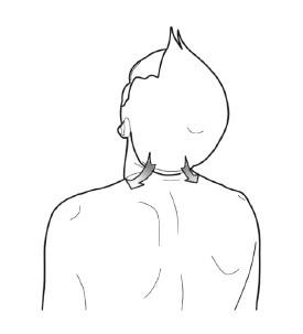 Диагностика и лечение позвоночника. Уникальная система доктора А. М. Уриа Диагностика и лечение позвоночника. Уникальная система доктора А. М. Уриа