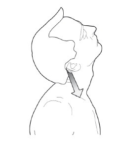 Диагностика и лечение позвоночника. Уникальная система доктора А. М. Уриа Диагностика и лечение позвоночника. Уникальная система доктора А. М. Уриа