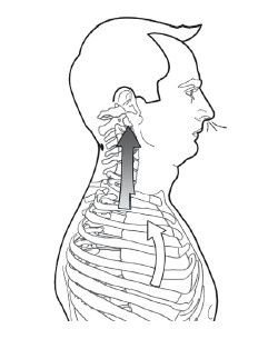 Диагностика и лечение позвоночника. Уникальная система доктора А. М. Уриа Диагностика и лечение позвоночника. Уникальная система доктора А. М. Уриа