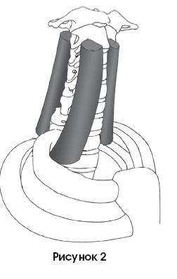 Диагностика и лечение позвоночника. Уникальная система доктора А. М. Уриа Диагностика и лечение позвоночника. Уникальная система доктора А. М. Уриа