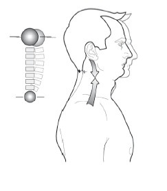 Диагностика и лечение позвоночника. Уникальная система доктора А. М. Уриа Диагностика и лечение позвоночника. Уникальная система доктора А. М. Уриа