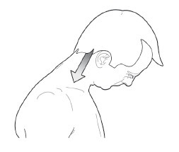 Диагностика и лечение позвоночника. Уникальная система доктора А. М. Уриа Диагностика и лечение позвоночника. Уникальная система доктора А. М. Уриа