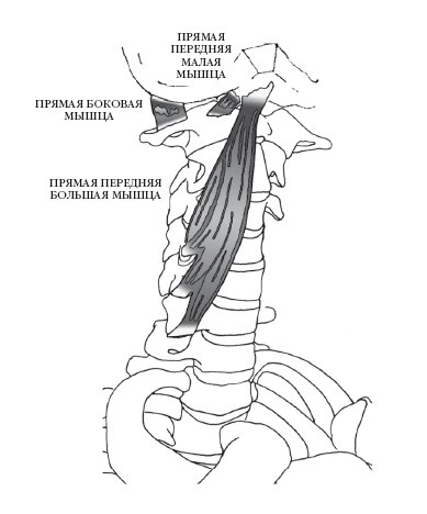 Диагностика и лечение позвоночника. Уникальная система доктора А. М. Уриа Диагностика и лечение позвоночника. Уникальная система доктора А. М. Уриа