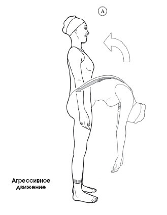 Диагностика и лечение позвоночника. Уникальная система доктора А. М. Уриа Диагностика и лечение позвоночника. Уникальная система доктора А. М. Уриа