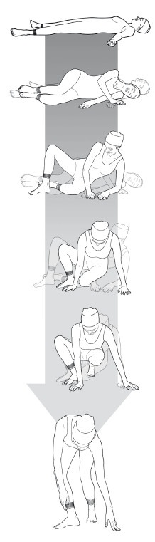 Диагностика и лечение позвоночника. Уникальная система доктора А. М. Уриа Диагностика и лечение позвоночника. Уникальная система доктора А. М. Уриа