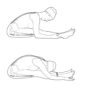 Диагностика и лечение позвоночника. Уникальная система доктора А. М. Уриа Диагностика и лечение позвоночника. Уникальная система доктора А. М. Уриа