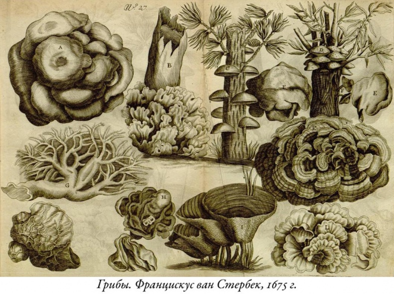 Будущее Земли. Наша планета в борьбе за жизнь