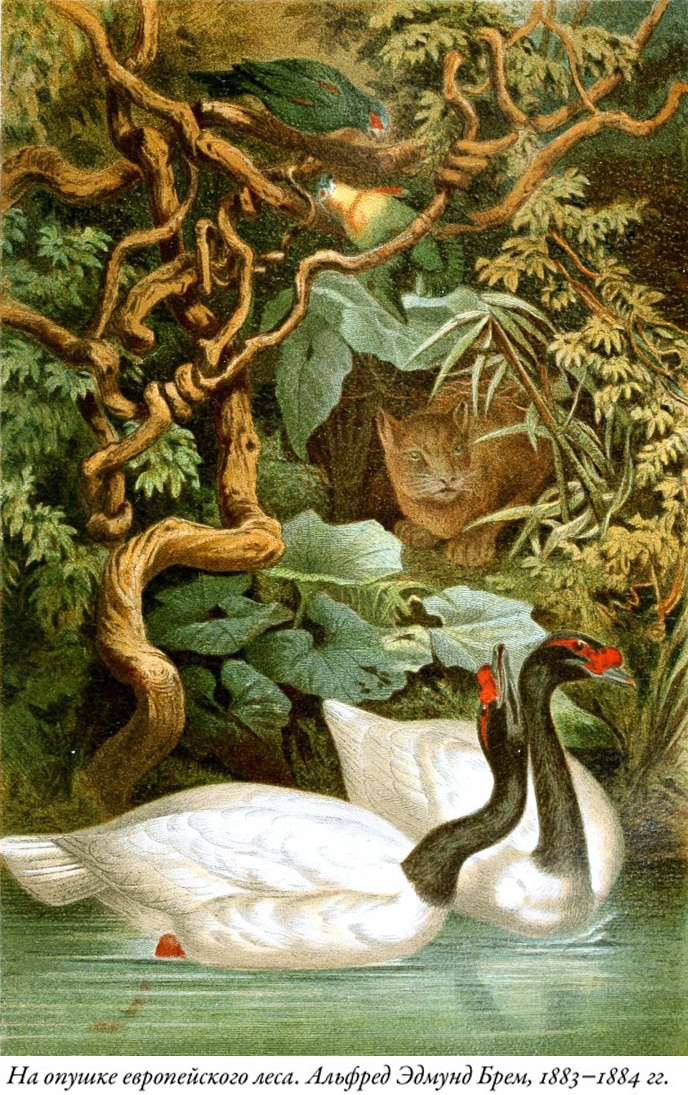 Будущее Земли. Наша планета в борьбе за жизнь