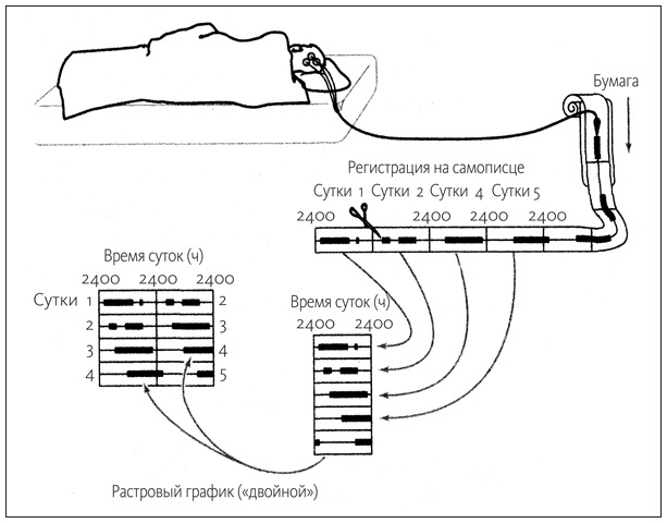 Ритм вселенной. Как из хаоса возникает порядок