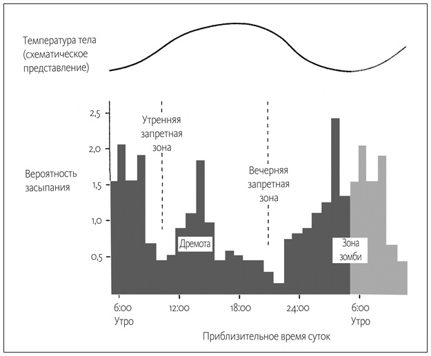 Ритм вселенной. Как из хаоса возникает порядок