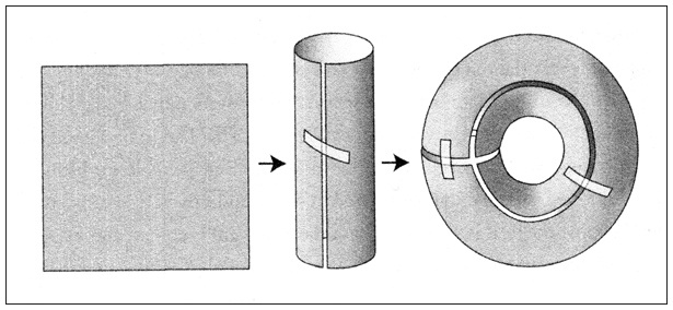 Ритм вселенной. Как из хаоса возникает порядок