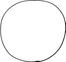 Как не ошибаться. Сила математического мышления