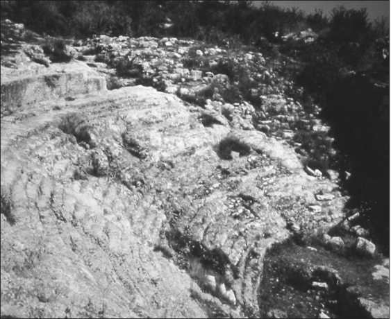 Иисус и его мир. Новейшие открытия Иисус и его мир. Новейшие открытия