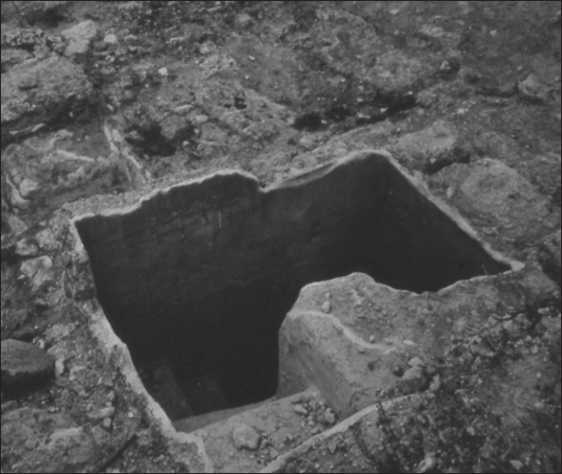 Иисус и его мир. Новейшие открытия Иисус и его мир. Новейшие открытия