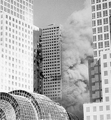 Тайны мозга. Почему мы во все верим