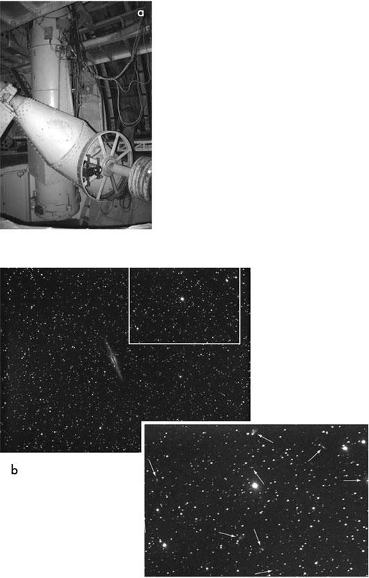 Тайны мозга. Почему мы во все верим