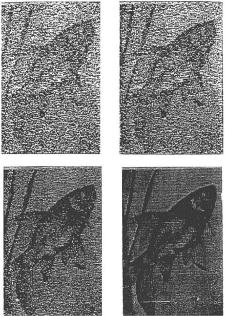 Тайны мозга. Почему мы во все верим