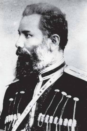 Полынный мой путь