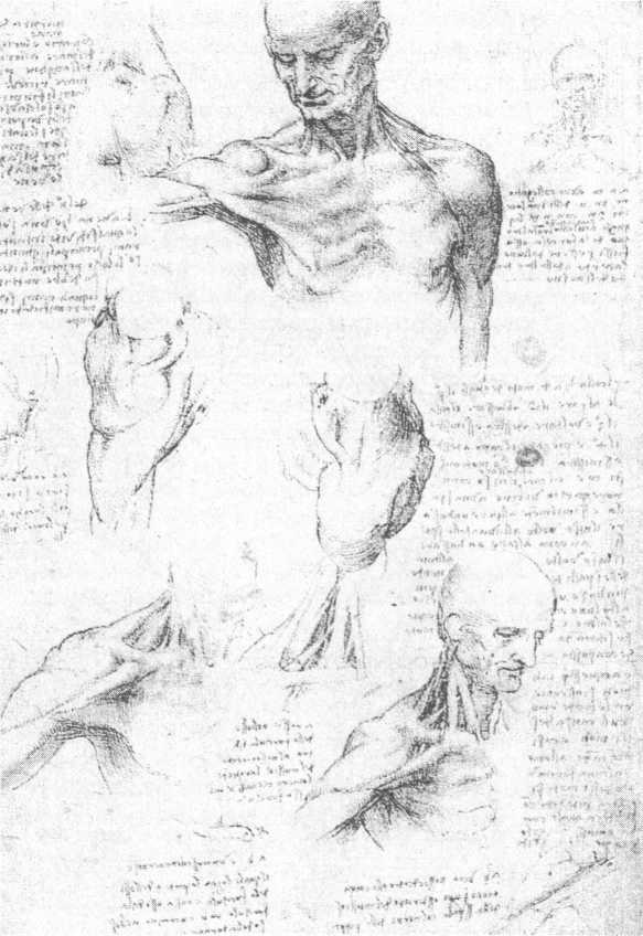 100 пророчеств Леонардо да Винчи