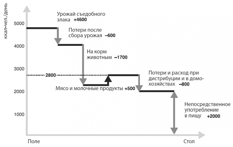 Изобилие. Будущее будет лучше, чем вы думаете