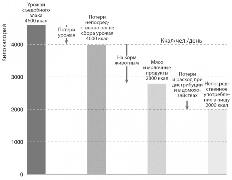 Изобилие. Будущее будет лучше, чем вы думаете