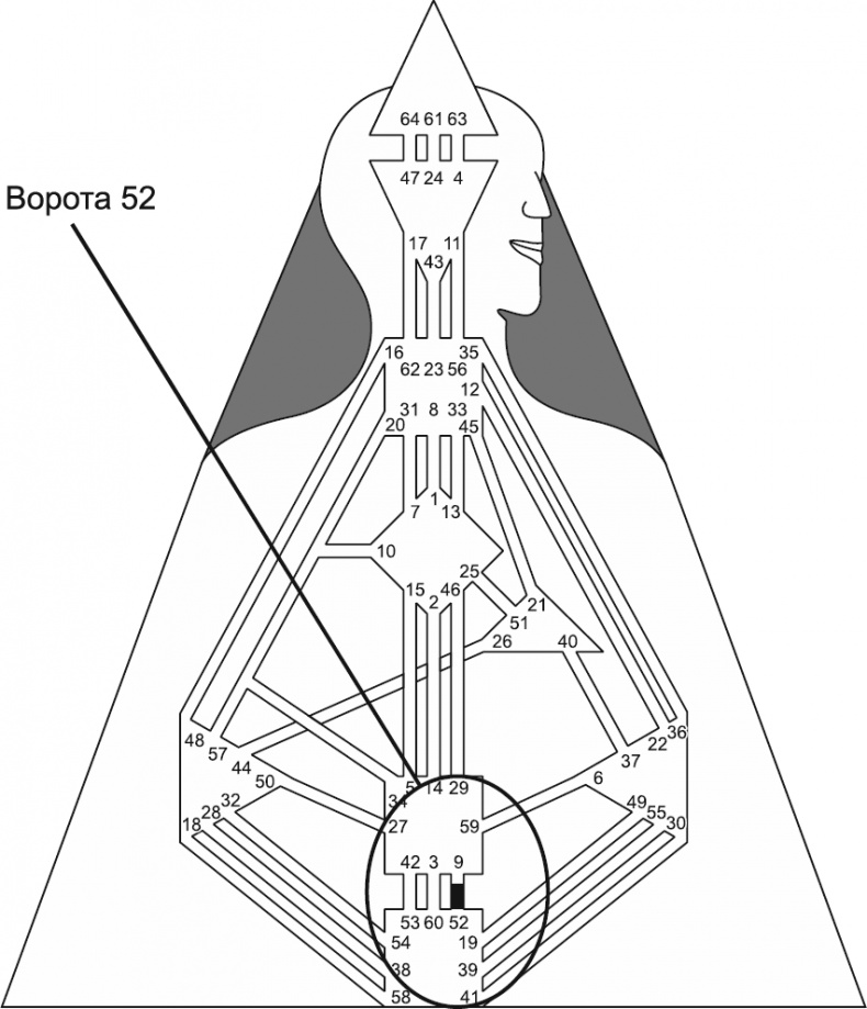 Новый дизайн счастливого человека. Как понять, кто ты на самом деле