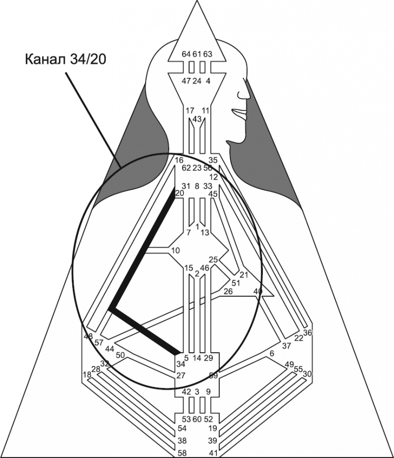 Новый дизайн счастливого человека. Как понять, кто ты на самом деле Новый дизайн счастливого человека. Как понять, кто ты на самом деле