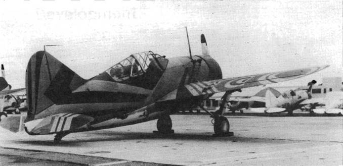 Brewster Buffalo Brewster Buffalo